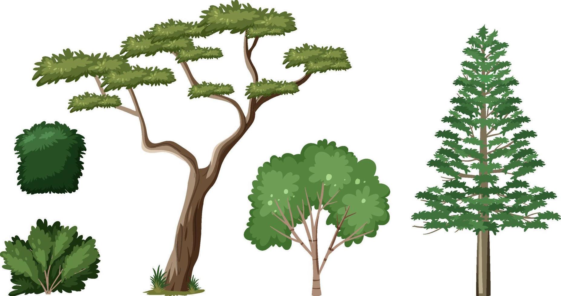 Set of nature forest elements vector