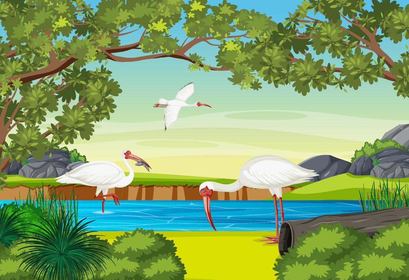 American white ibis in the forest vector