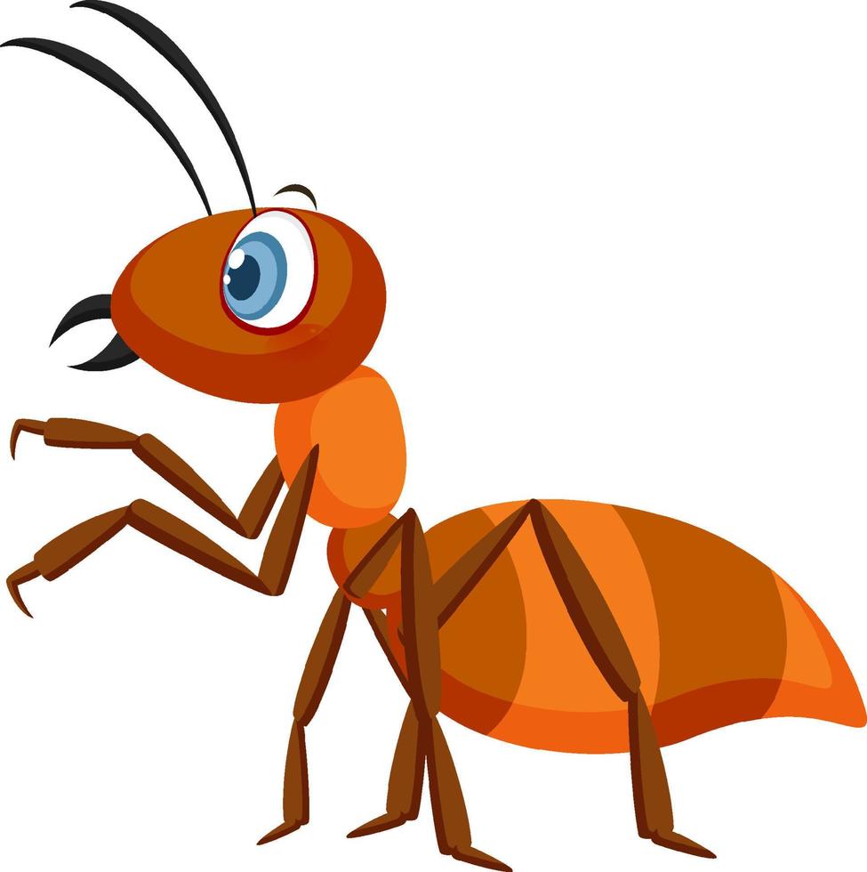 Cartoon ant isolated on white background vector