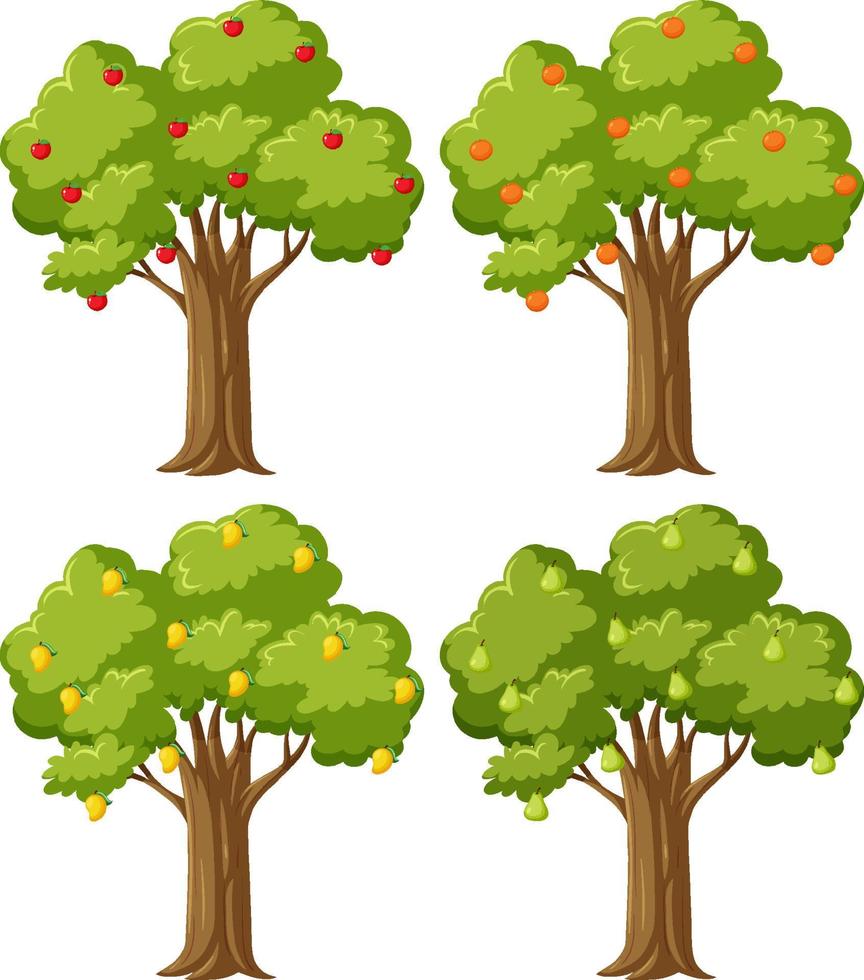 Four fruit trees set vector