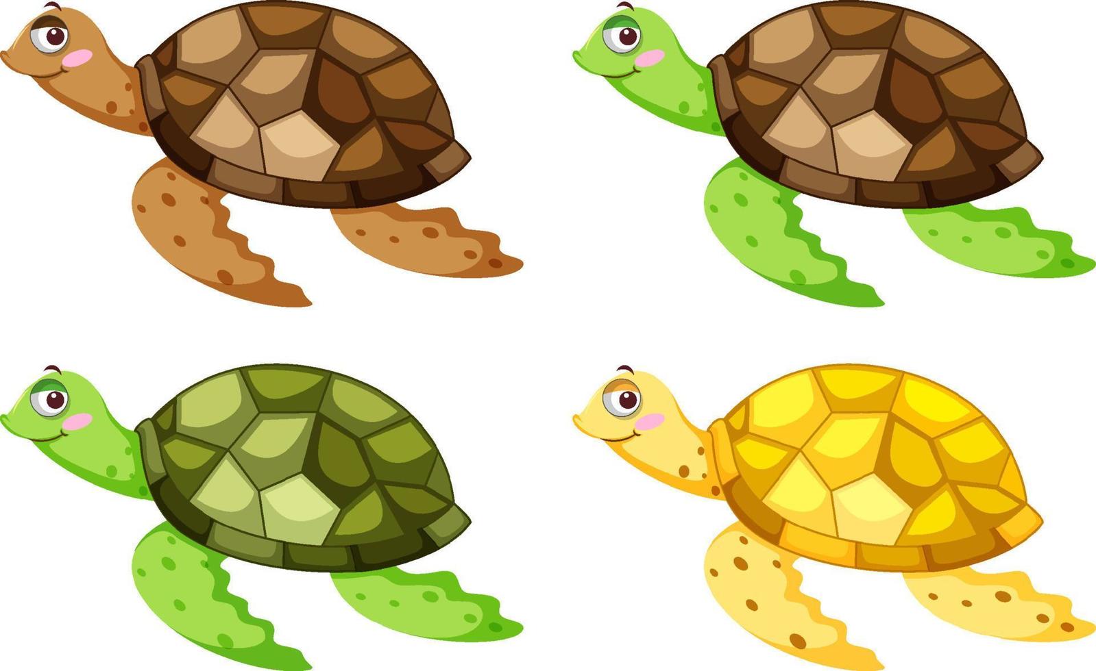 diferentes tortugas en personaje de dibujos animados vector