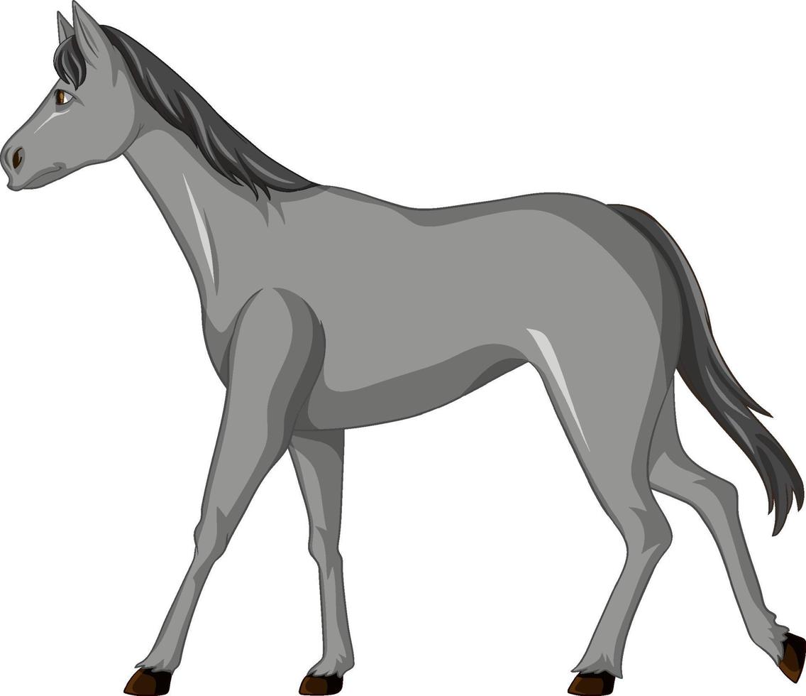 caballo gris caminando dibujos animados vector