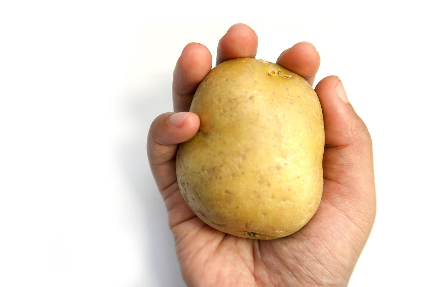 Hand holding Potato isolated on white background photo