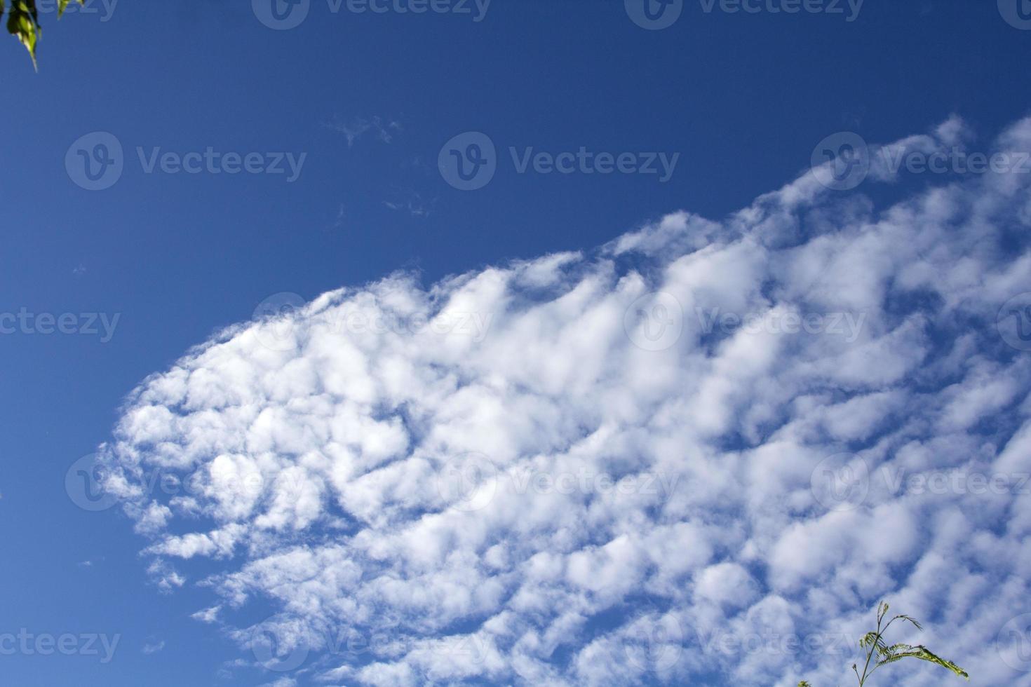 Trees and white clouds and blue sky in the evening after the sun goes down in the countryside photo