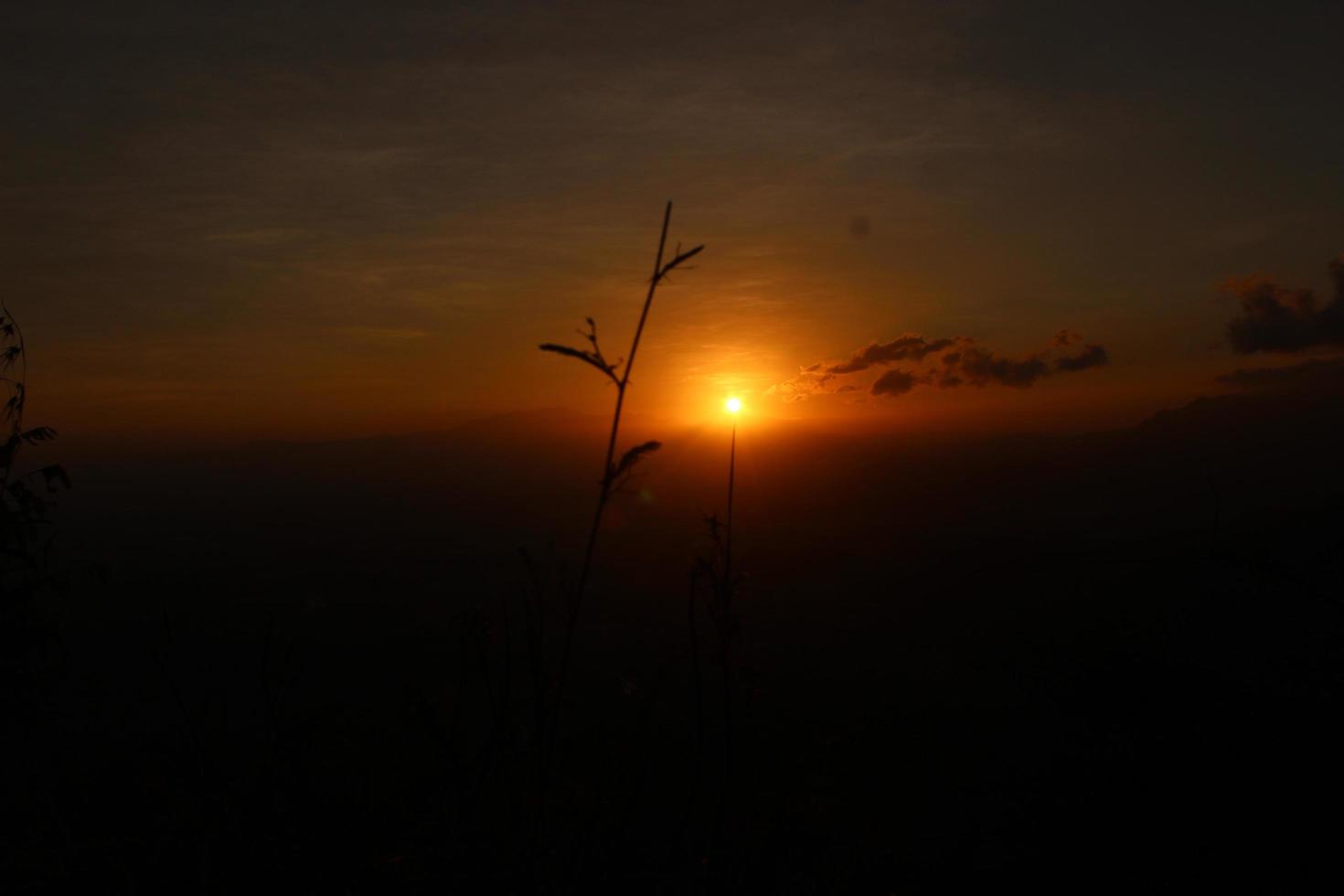 Beautiful sunset background photo