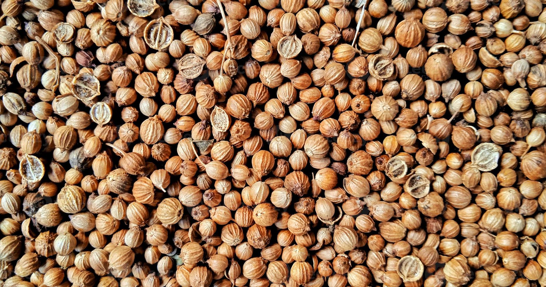 A spreaded dried coriander seed on black background. Ingredient background design. Available for text. Suitable for the food advertising of company and industry, poster, backdrop, flyer, etc. photo