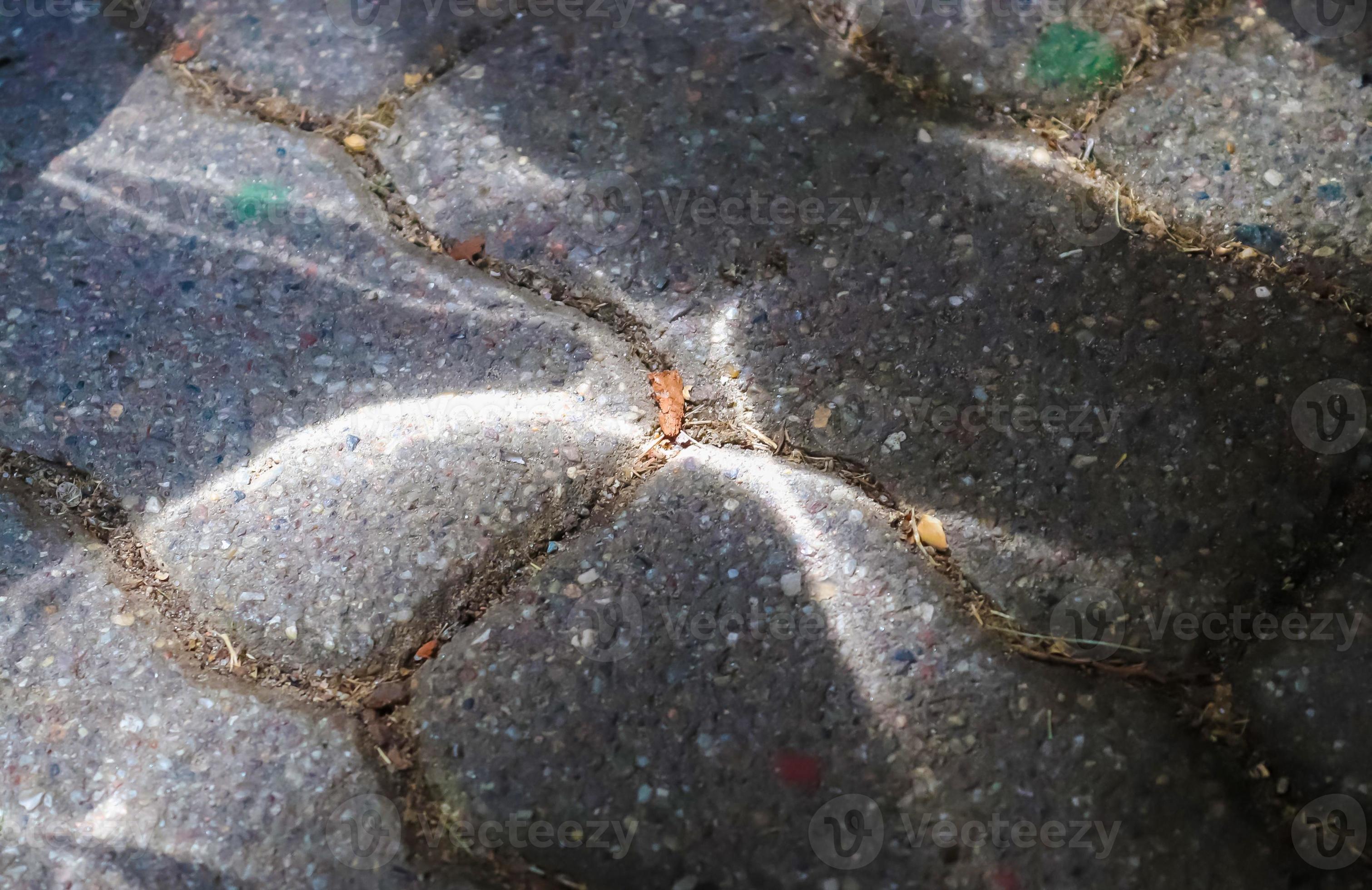 Caustic light effects from refraction in glass on an ashalt ground
