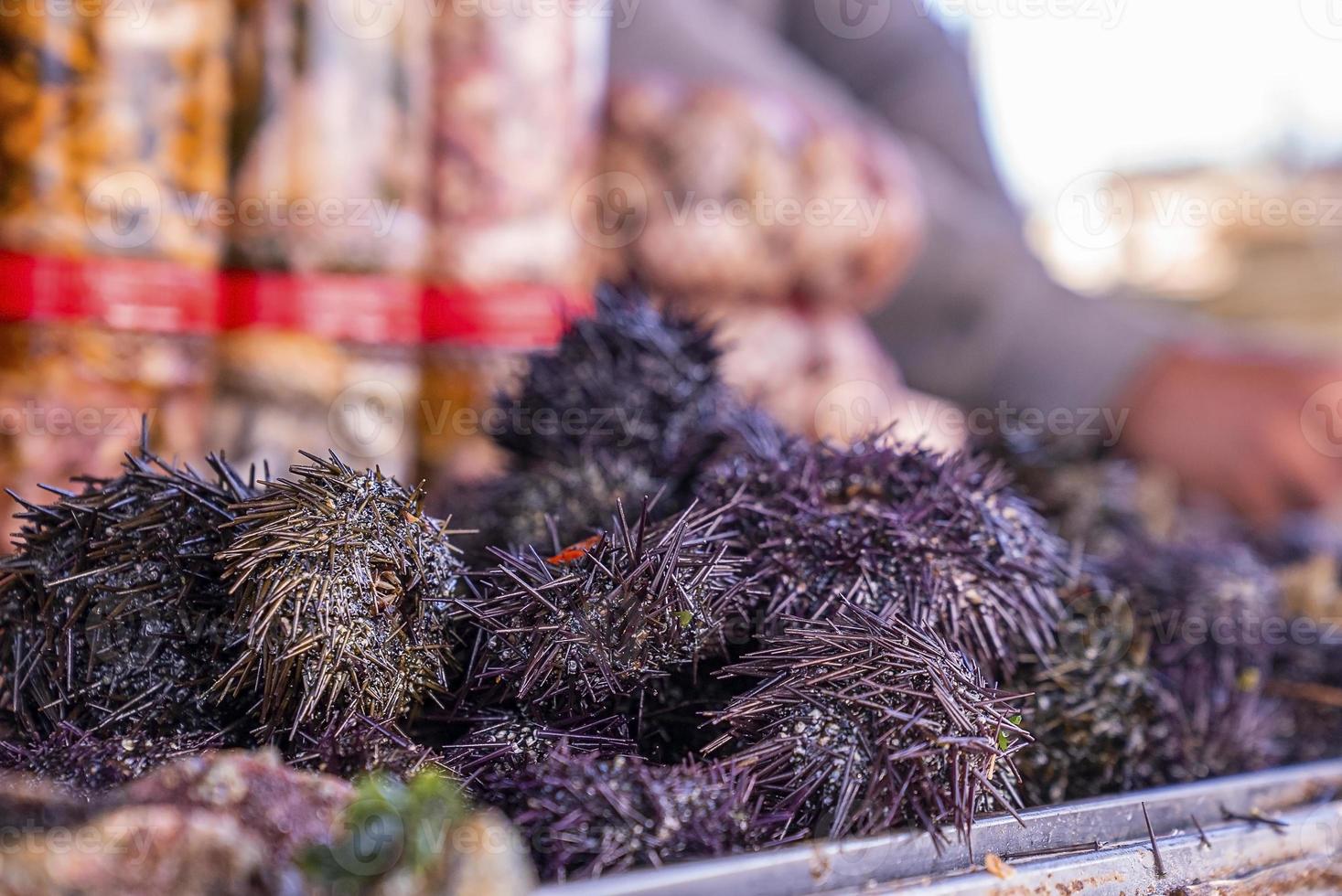 Closeup of raw fresh purple sea urchins on table at fish market photo