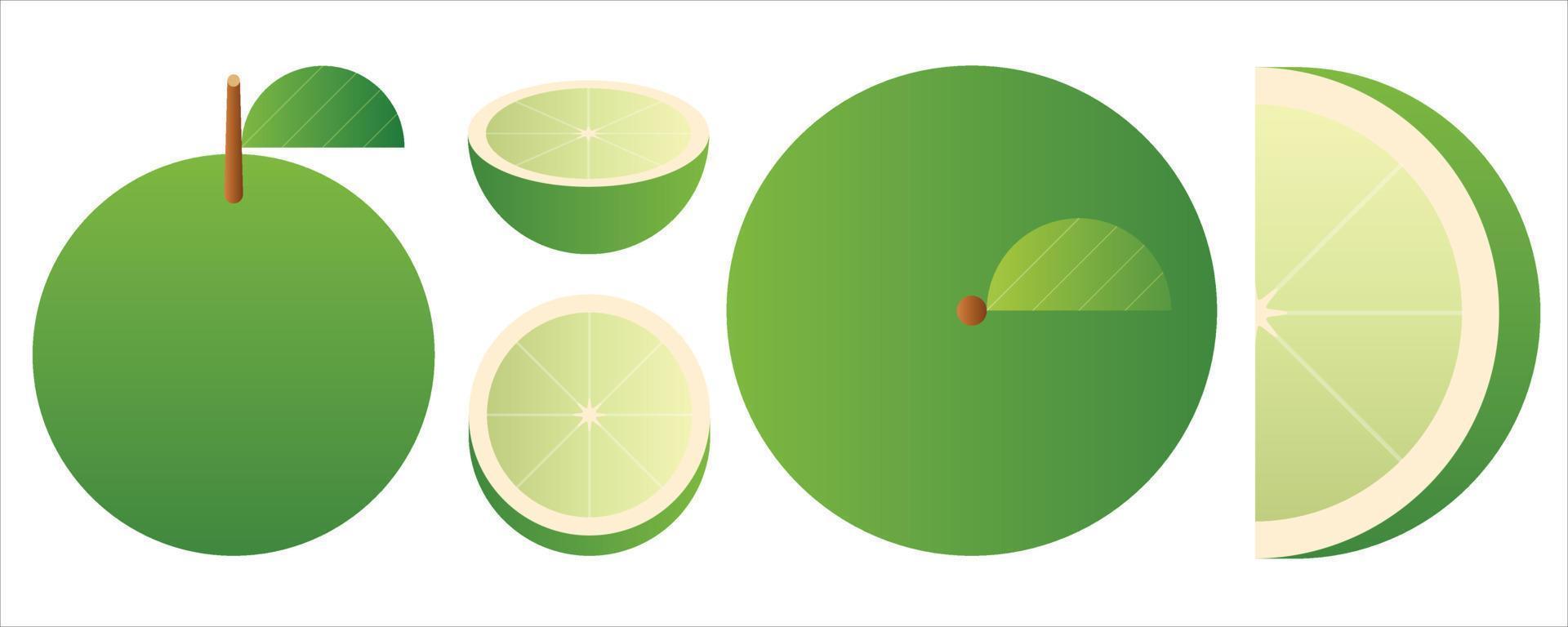Isolated vegetables and fruits on white background. Vector illustration.