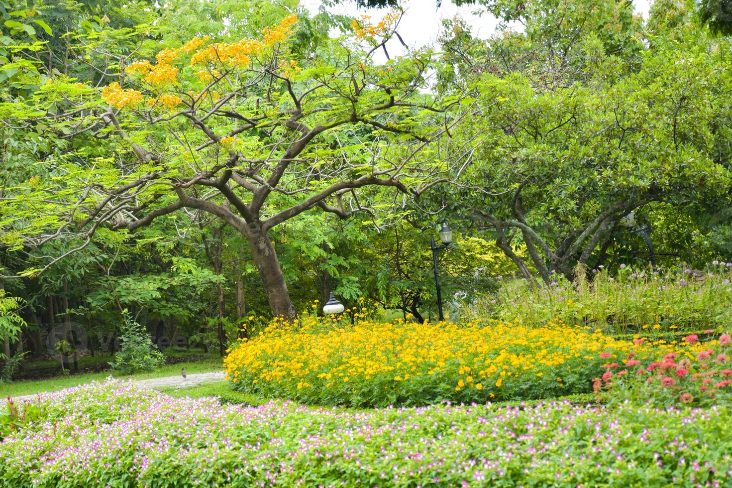 The decoration of the flower garden is beautiful and colorful in the beautiful Chatuchak garden. photo