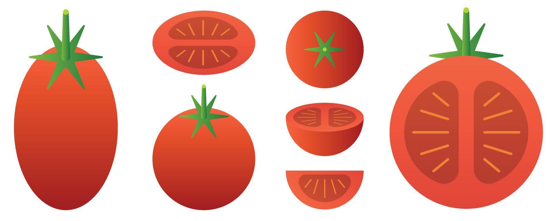 verduras y frutas aisladas sobre fondo blanco. ilustración vectorial vector