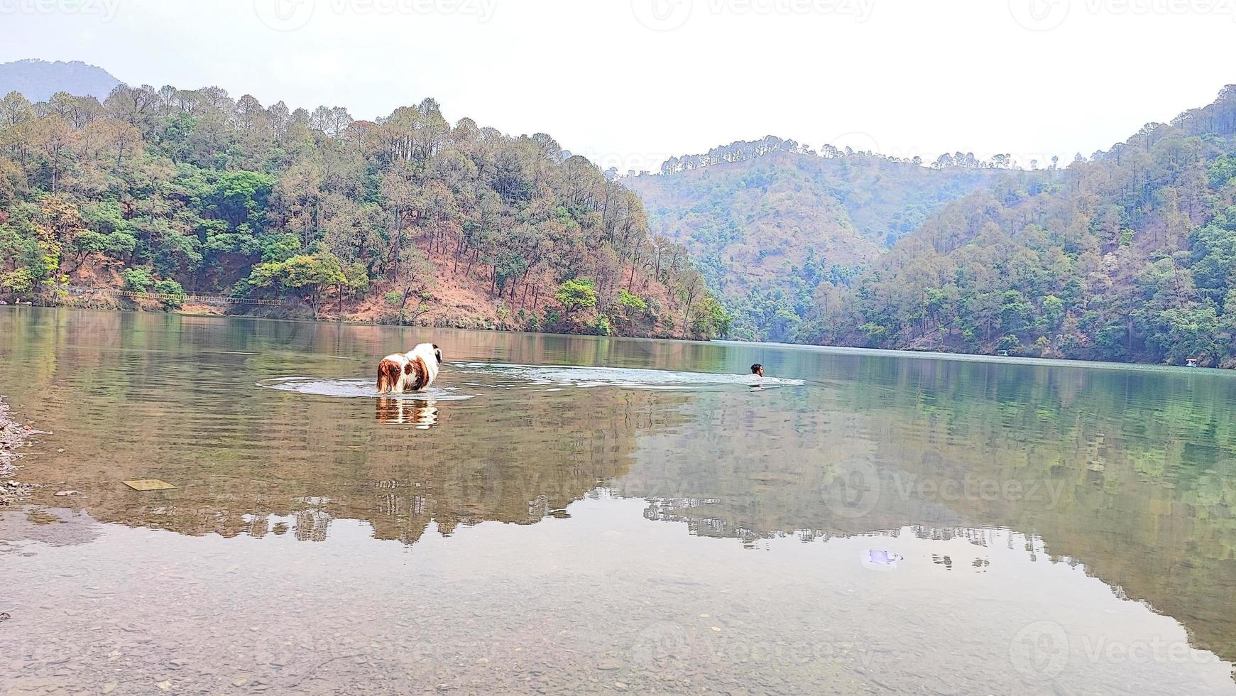Sat Tal - seven lakes - is an interconnected group of seven freshwater lakes situated in the Lower Himalayan Range near Bhimtal. photo
