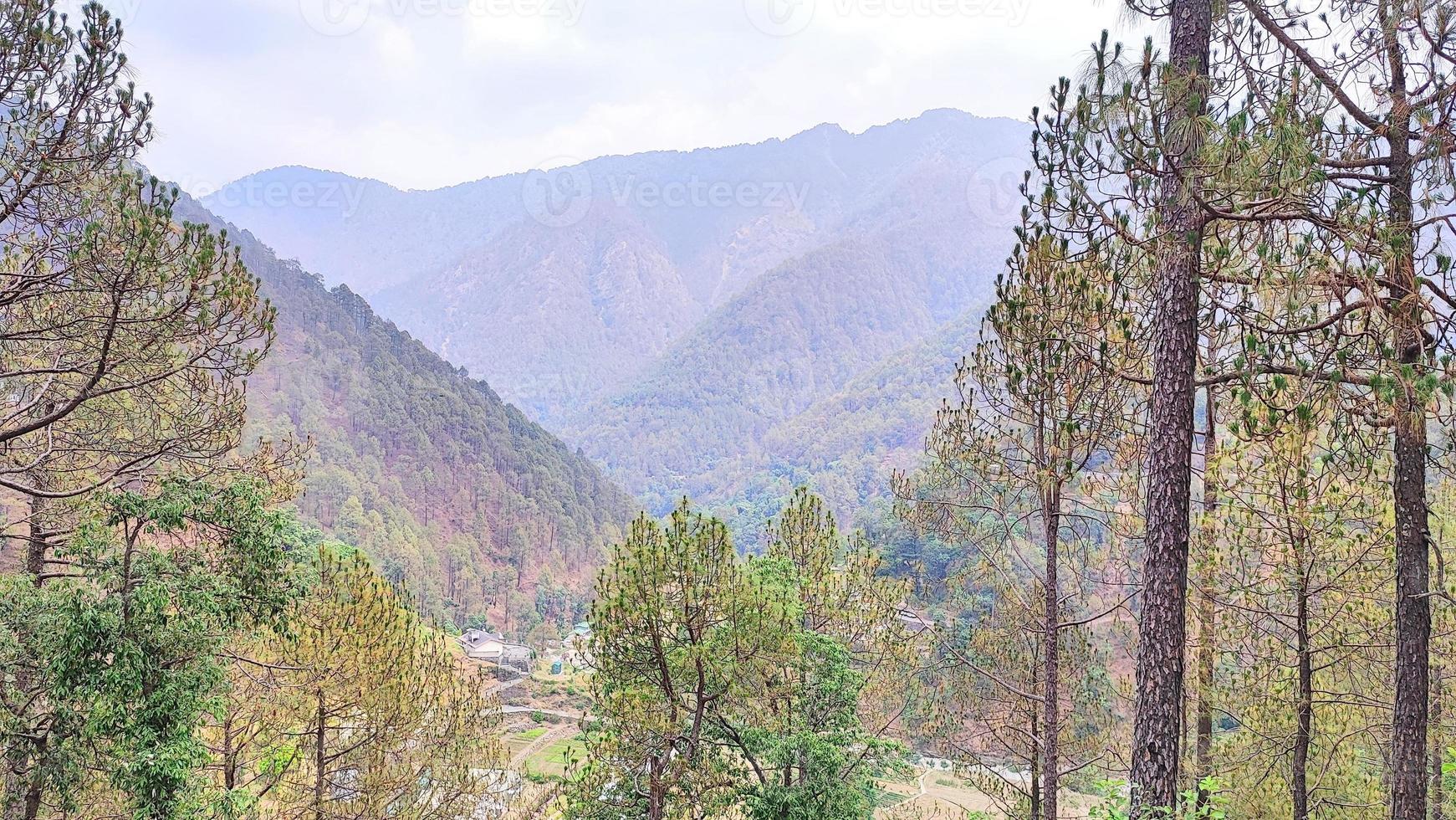 Uttarakhand Mountains, trees and nature photo