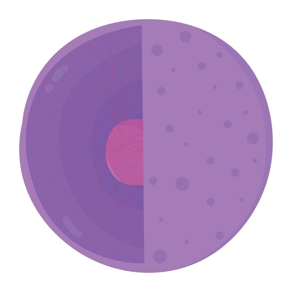 The Nucleus The nucleus is the control center of the cell. vector