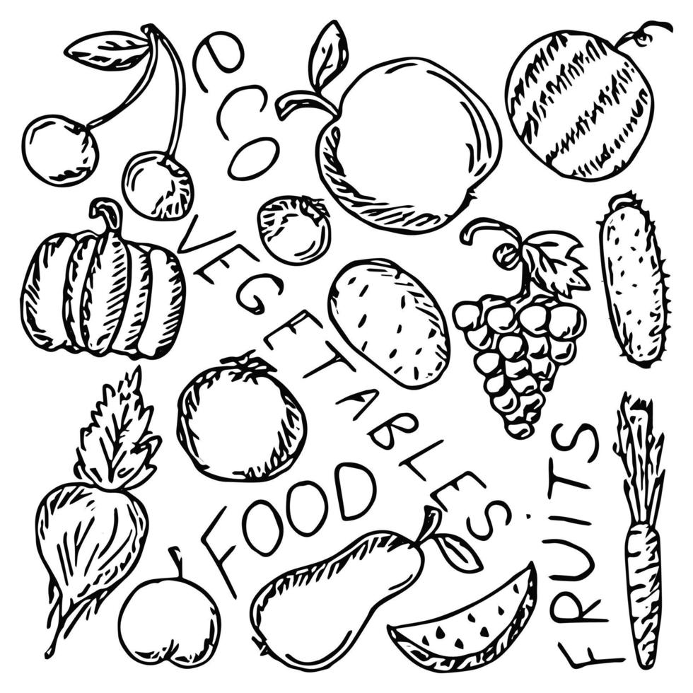 Doodle vector with vegetarian food icons on white background. Vintage food icons