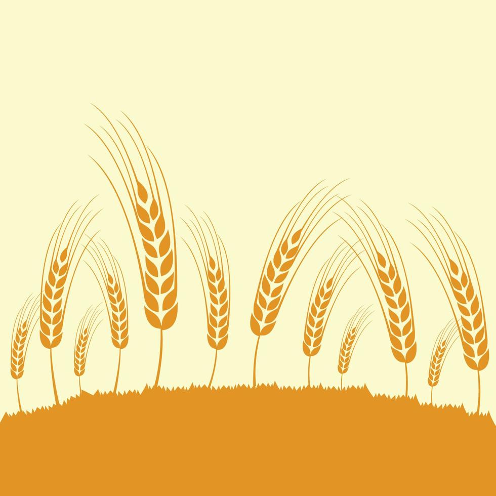 diseño de plantas de trigo listo para cosechar vector