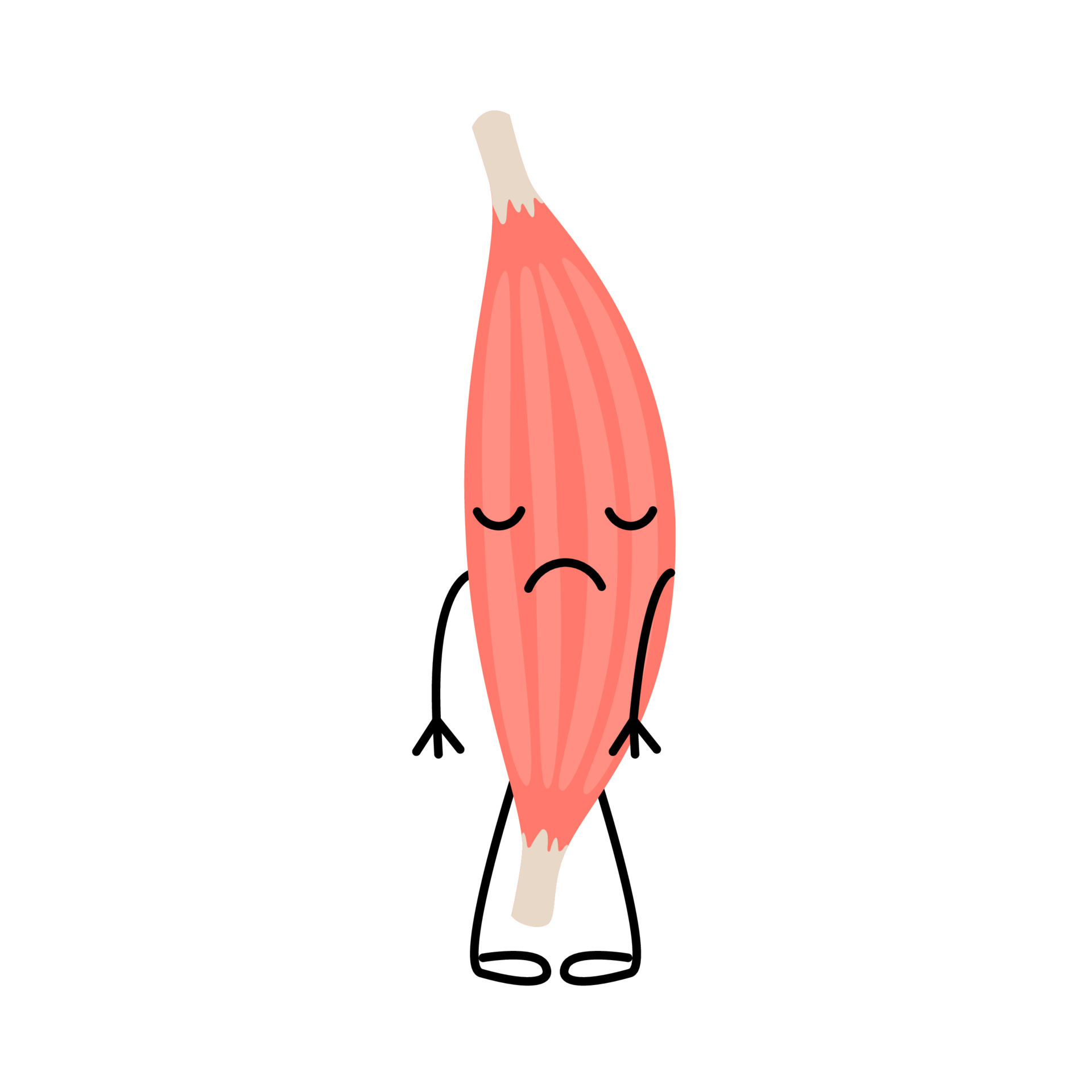 Weak sad pain muscle, cartoon character. Lack of energy, overwork. Fragile tension fiber part body human. Skeletal muscle, inside tissue. Vector illustration 8146837 Vector Art at Vecteezy Weak sad pain muscle, cartoon character. Lack of energy, overwork. Fragile tension fiber part body human. Skeletal muscle, inside tissue. Vector illustration 8146837 Vector Art at Vecteezy