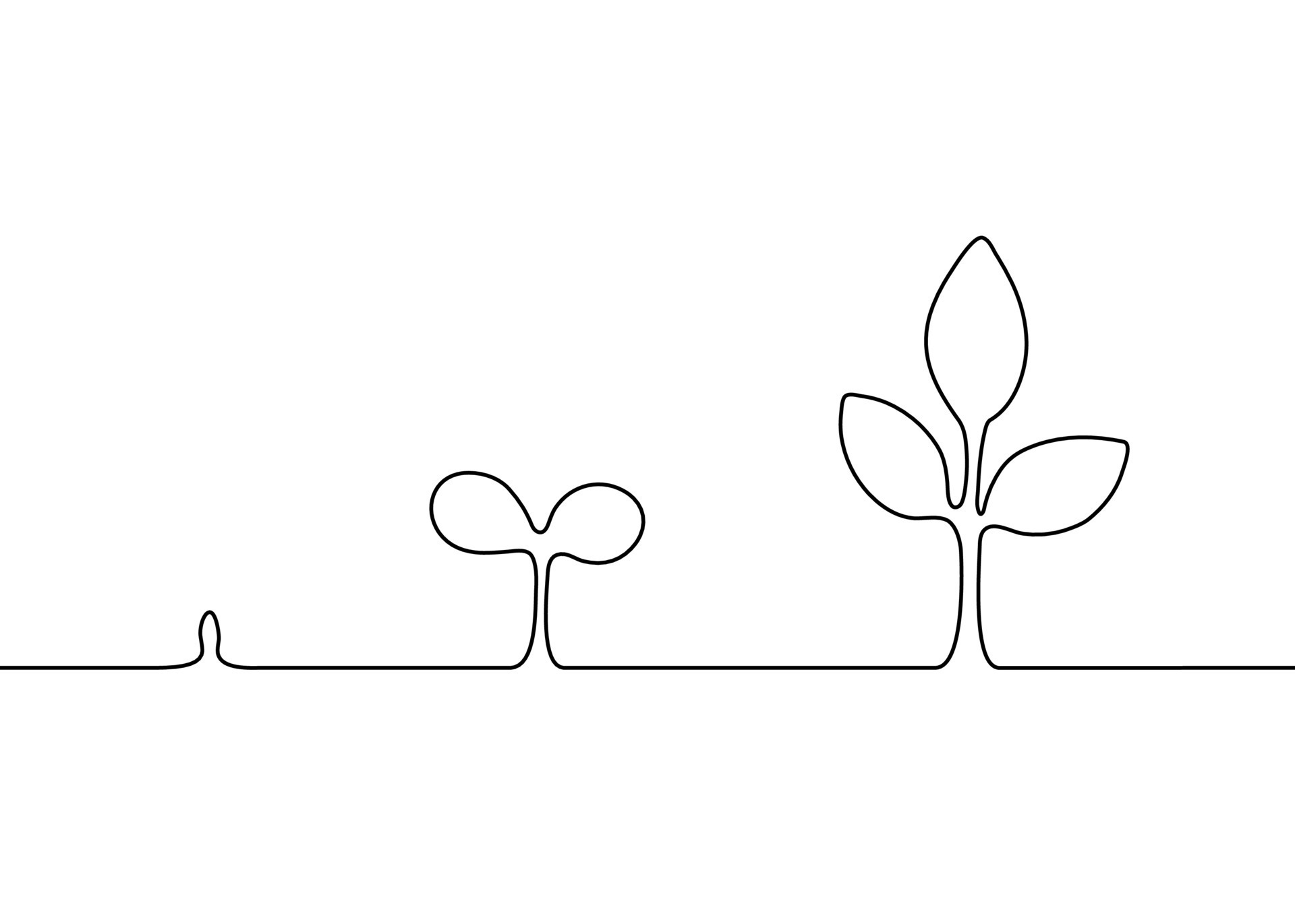 Growth plant stage contour silhouette, one continuous line drawing. Step of tree growth