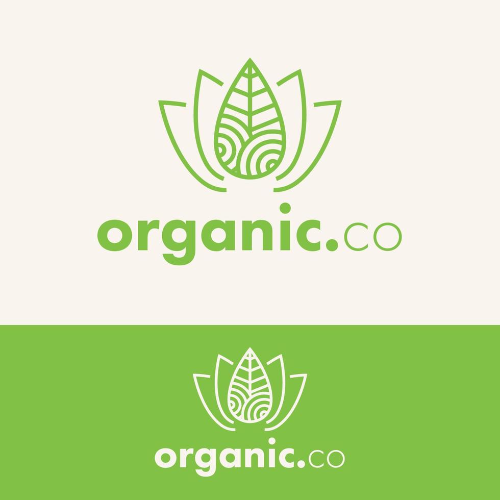 concepto de logotipo de hoja orgánica de contorno minimalista vector