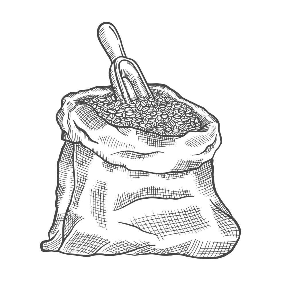 coffee bean sack seed lover single isolated hand drawn sketch with outline style vector