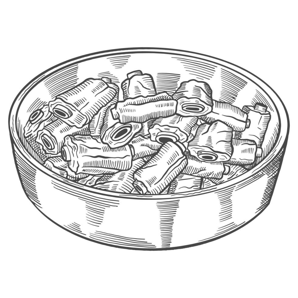 pork ribs korea or korean cuisine traditional food isolated doodle hand drawn sketch with outline style vector