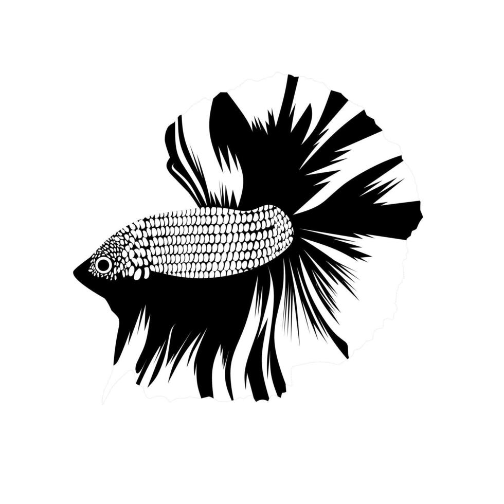 betta blanco y negro. los diseños planos son ideales para logotipos. ilustración vectorial vector