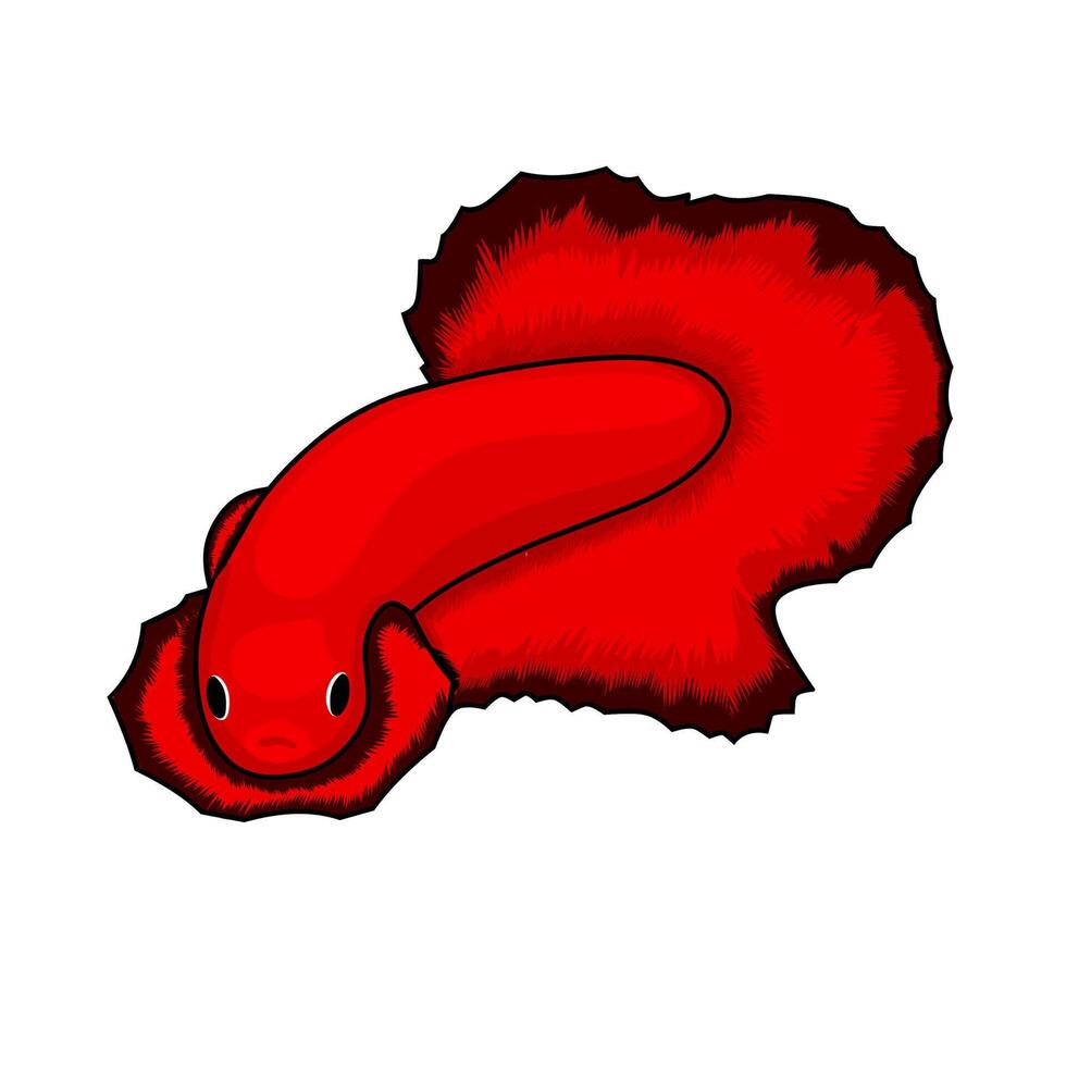 Red halfmoon betta. Betta fish logo on a white background. Vector illustration.