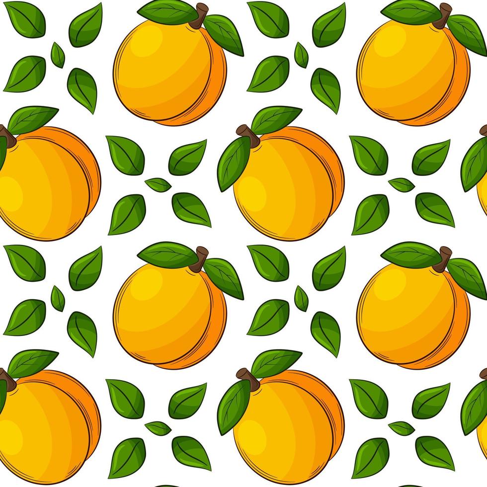 Bright juicy summer fruit seamless pattern. Hand-drawn fruit with an outline.Apricots, peaches with leaves. For summer textiles, food packaging, napkins.Color vector illustration on a white background