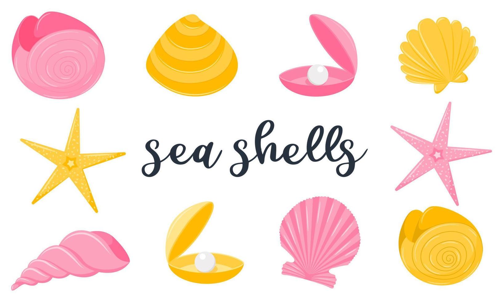 A set of exotic marine animals. Spiral shells, nautilus, starfish, pearl clam. Flat cartoon style. Vector illustrations isolated on a white background.