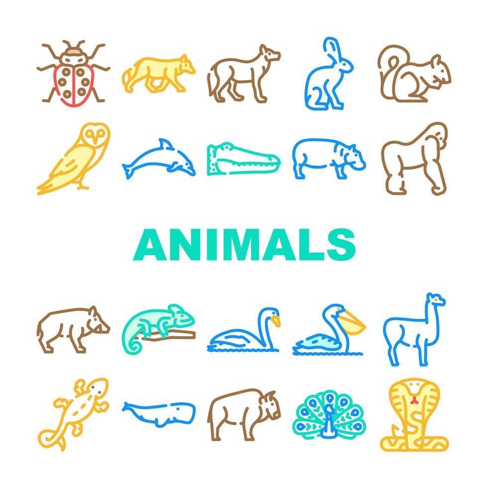 animales salvajes, pájaros e insectos iconos conjunto vector