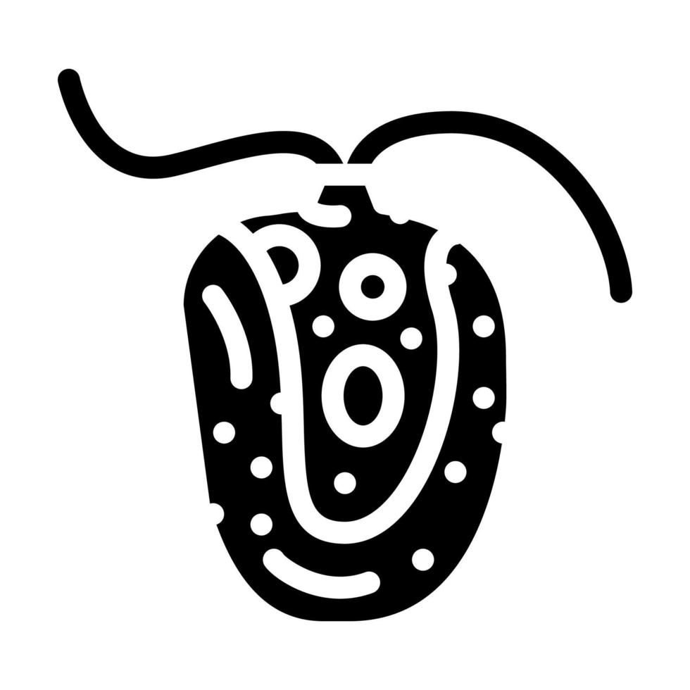 chlamydomonas reinhardtii seaweed glyph icon vector illustration