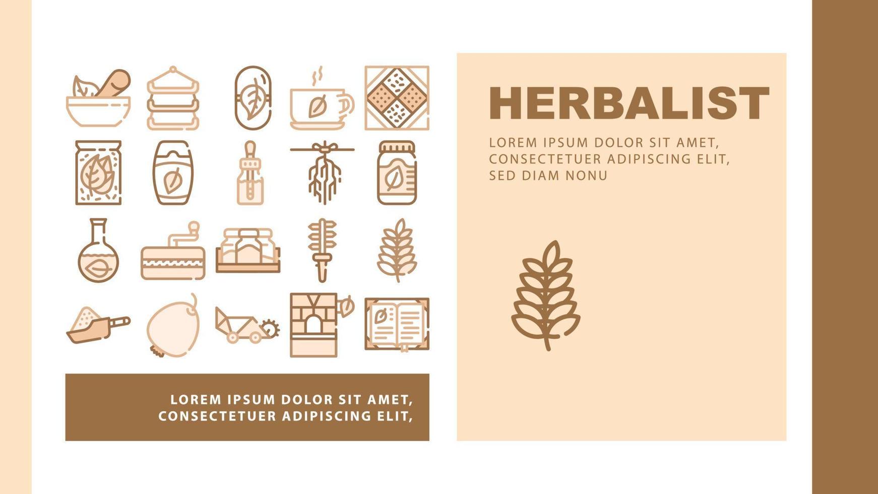 Herbalist Medical Landing Header Vector