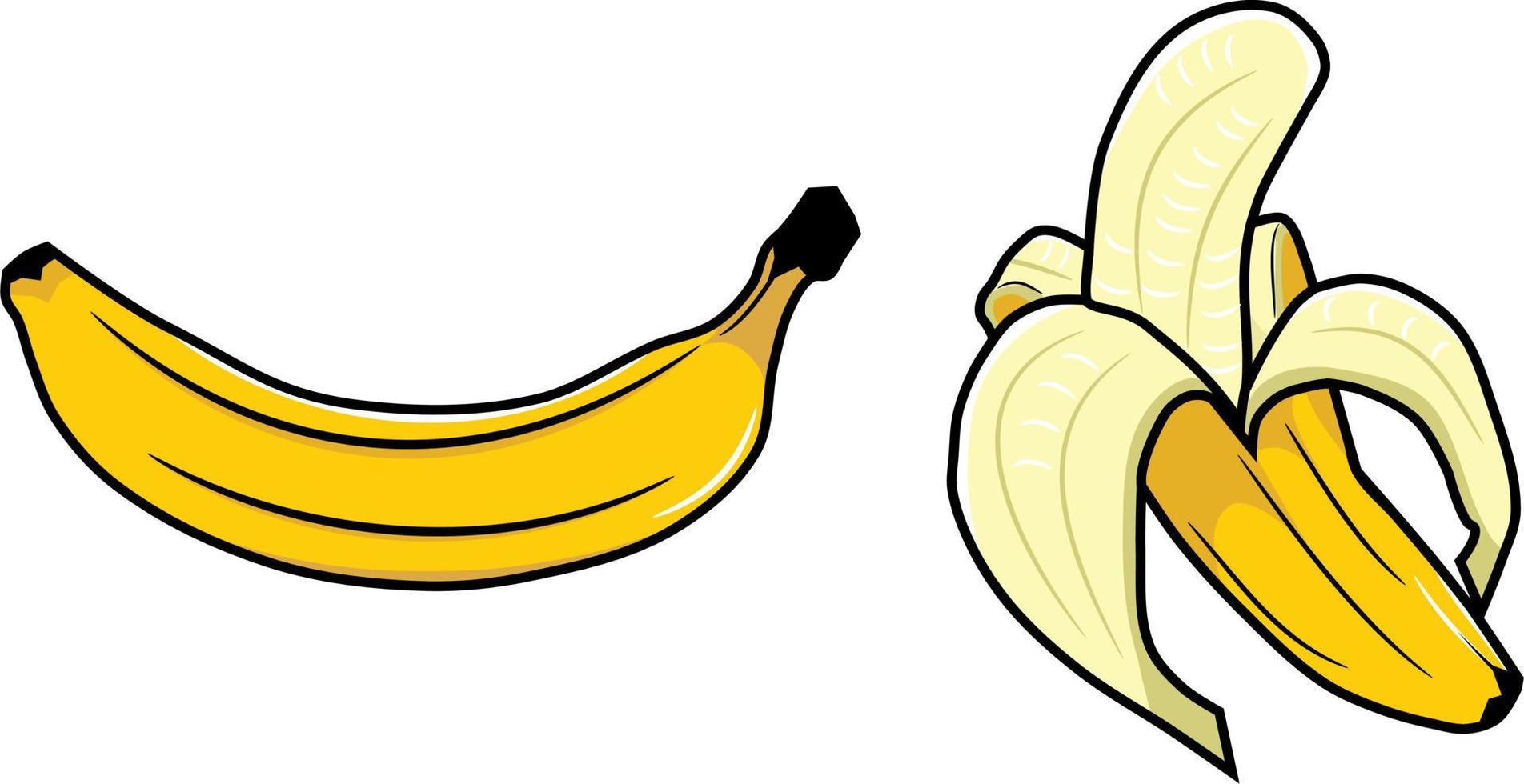 Bananas yellow fruit vector