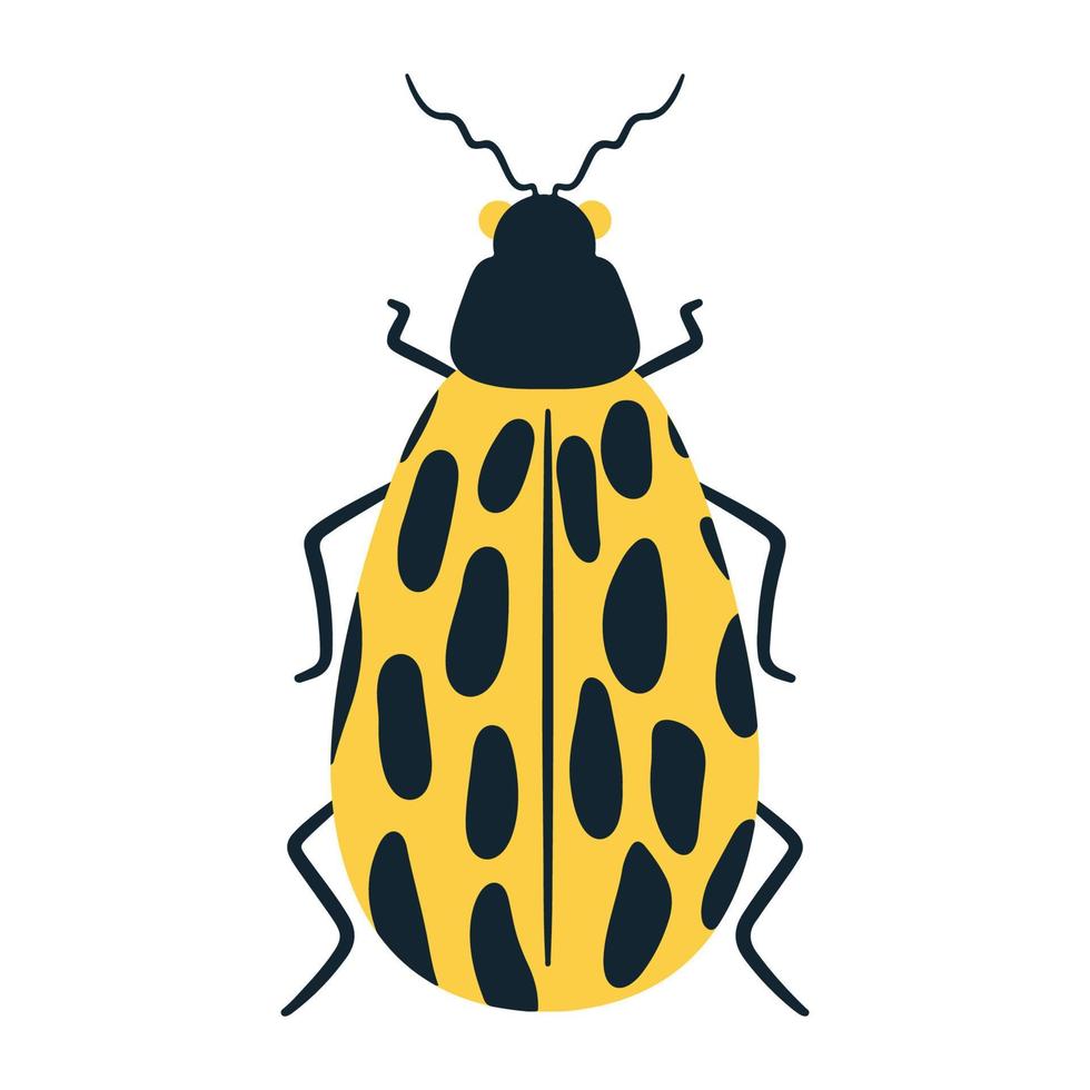 Cute yellow spotted cartoon beetle. Insect image, vector flat style.