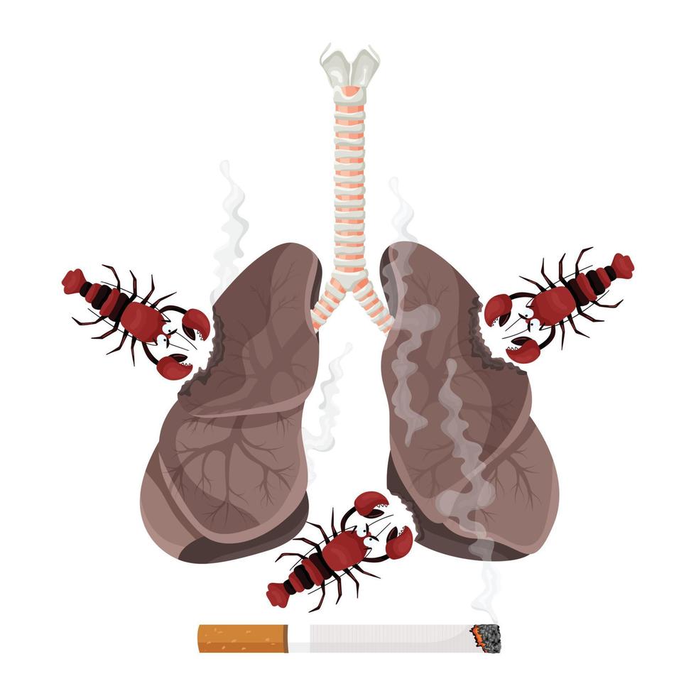 Illustration of lung smoker, lung cancer disease. The concept of stop smoking. Vector illustration.