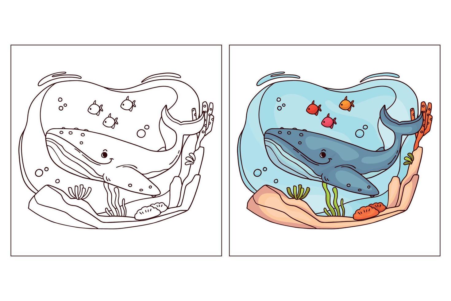 dibujado a mano lindo animal del océano para colorear página mar azul ballena vector