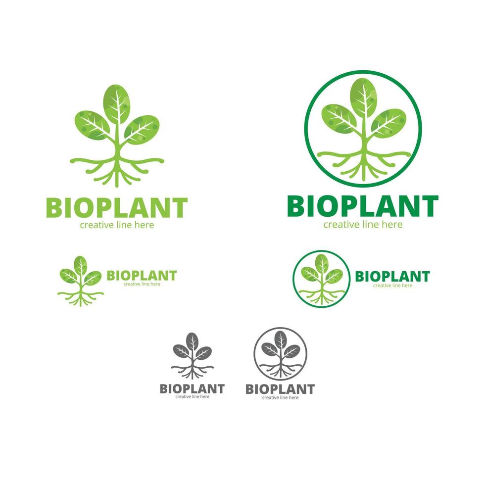 logotipo de bio planta vector