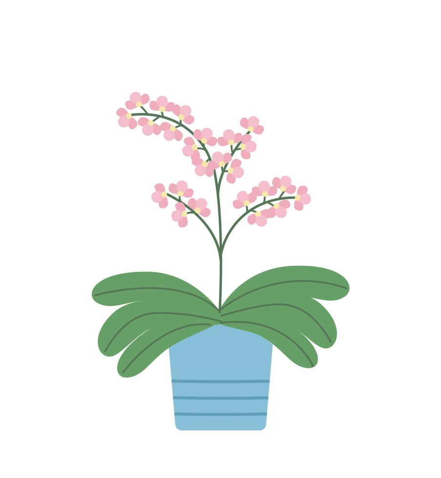 Blooming orchid in a pot. Vector illustration of a tropical flower doodle icon.