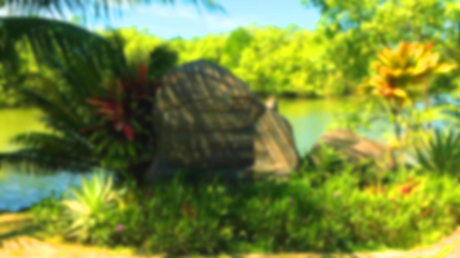 Blur Photo stone inscription