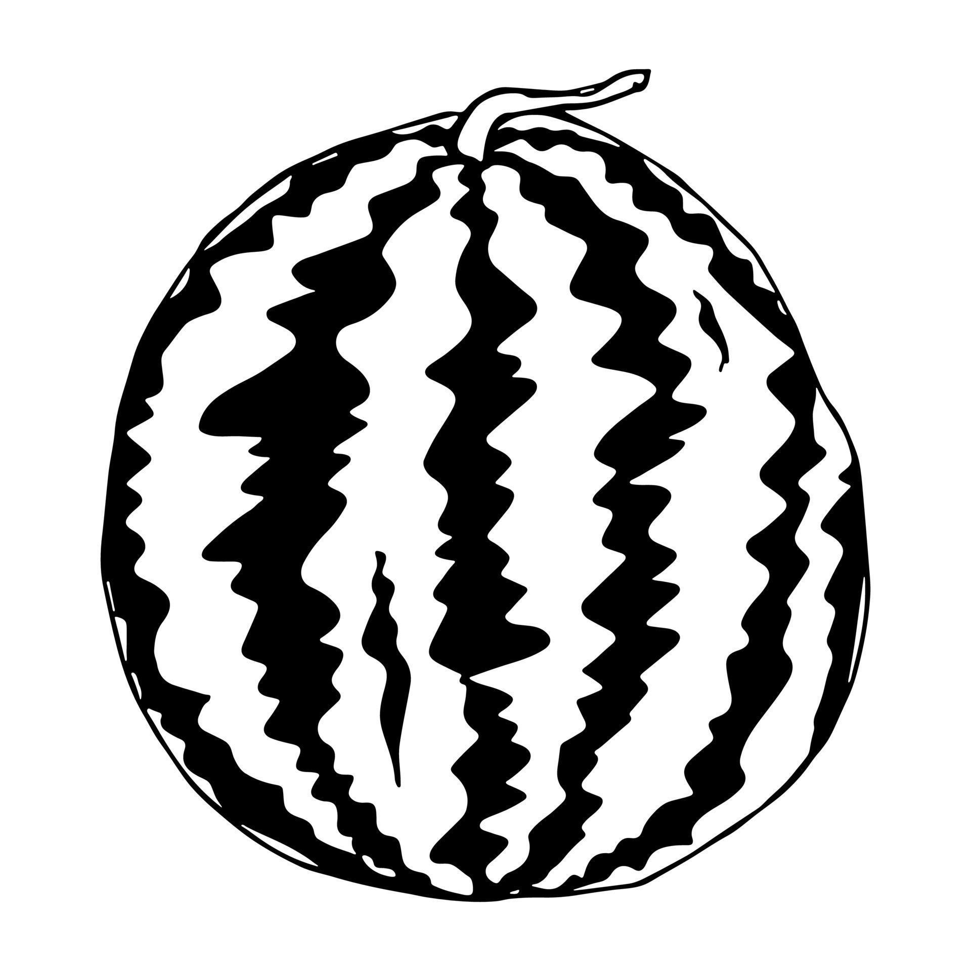 Cute vector watermelon clipart. Hand drawn watermelon icon. Fruit