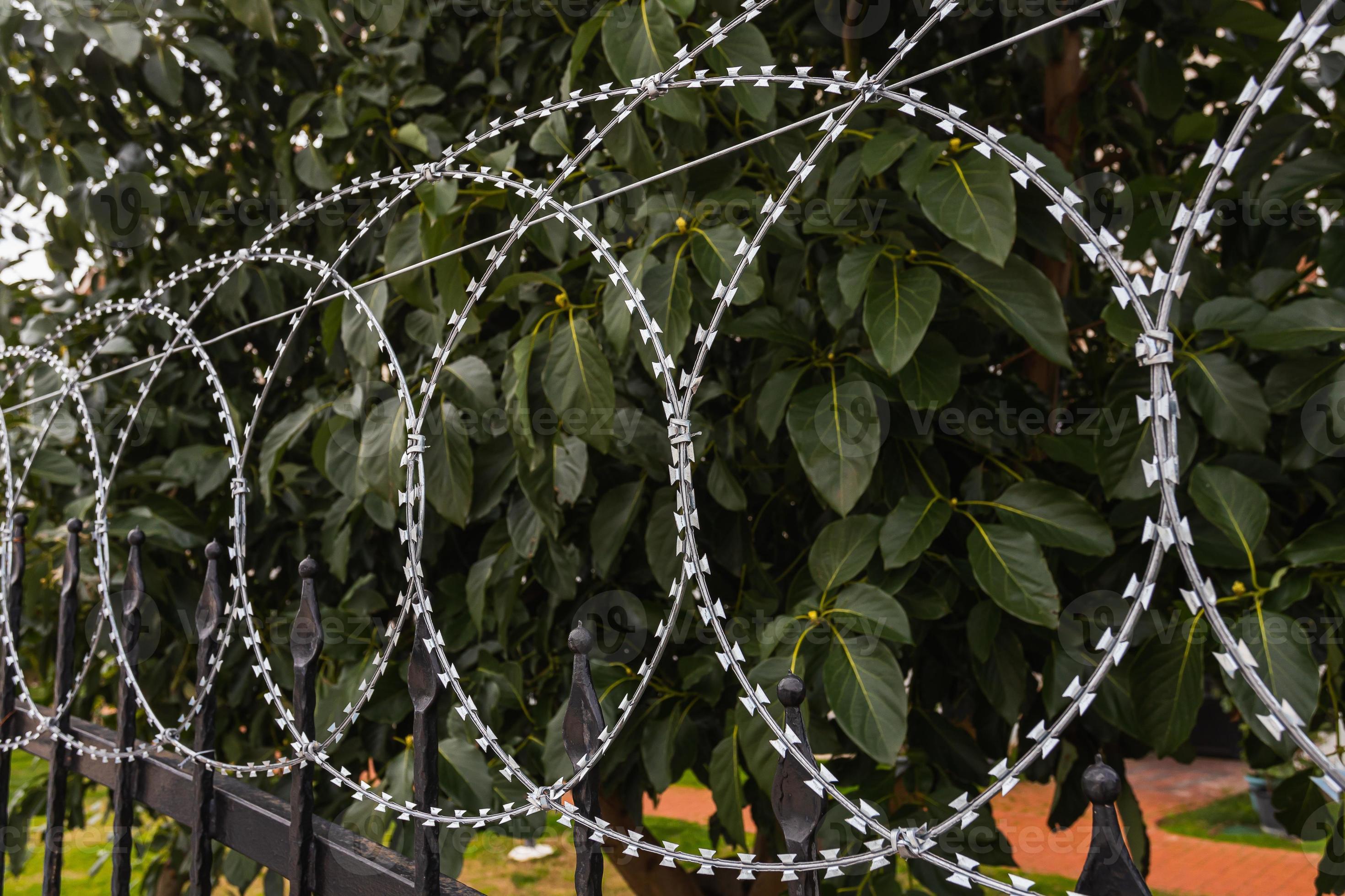 Thorny fence online