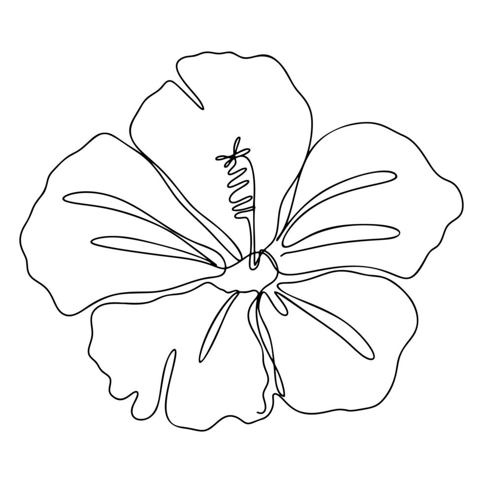 One Line Drawing, Single Continuous Line Sketch Flower vector