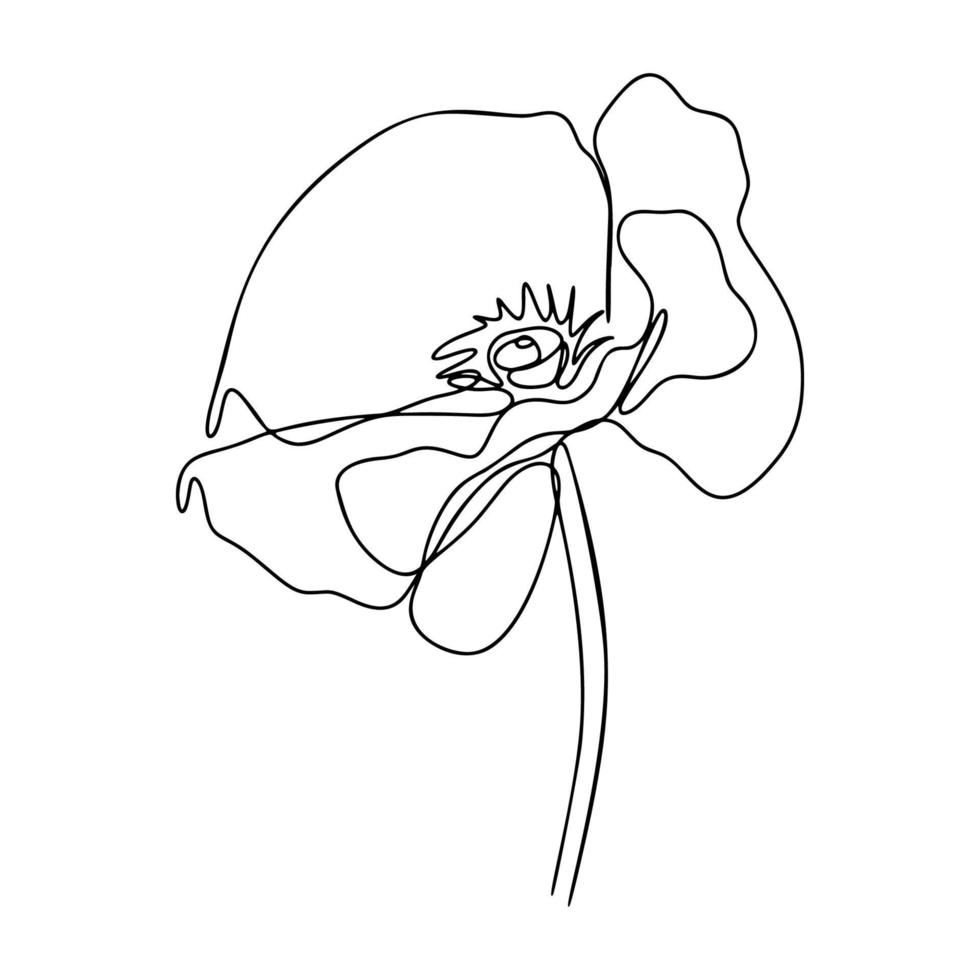 One Line Drawing, Single Continuous Line Sketch Flower Poppy vector