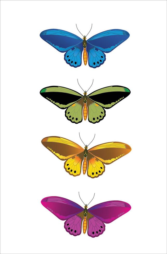 mariposa - azul, verde, amarilla y morada vector