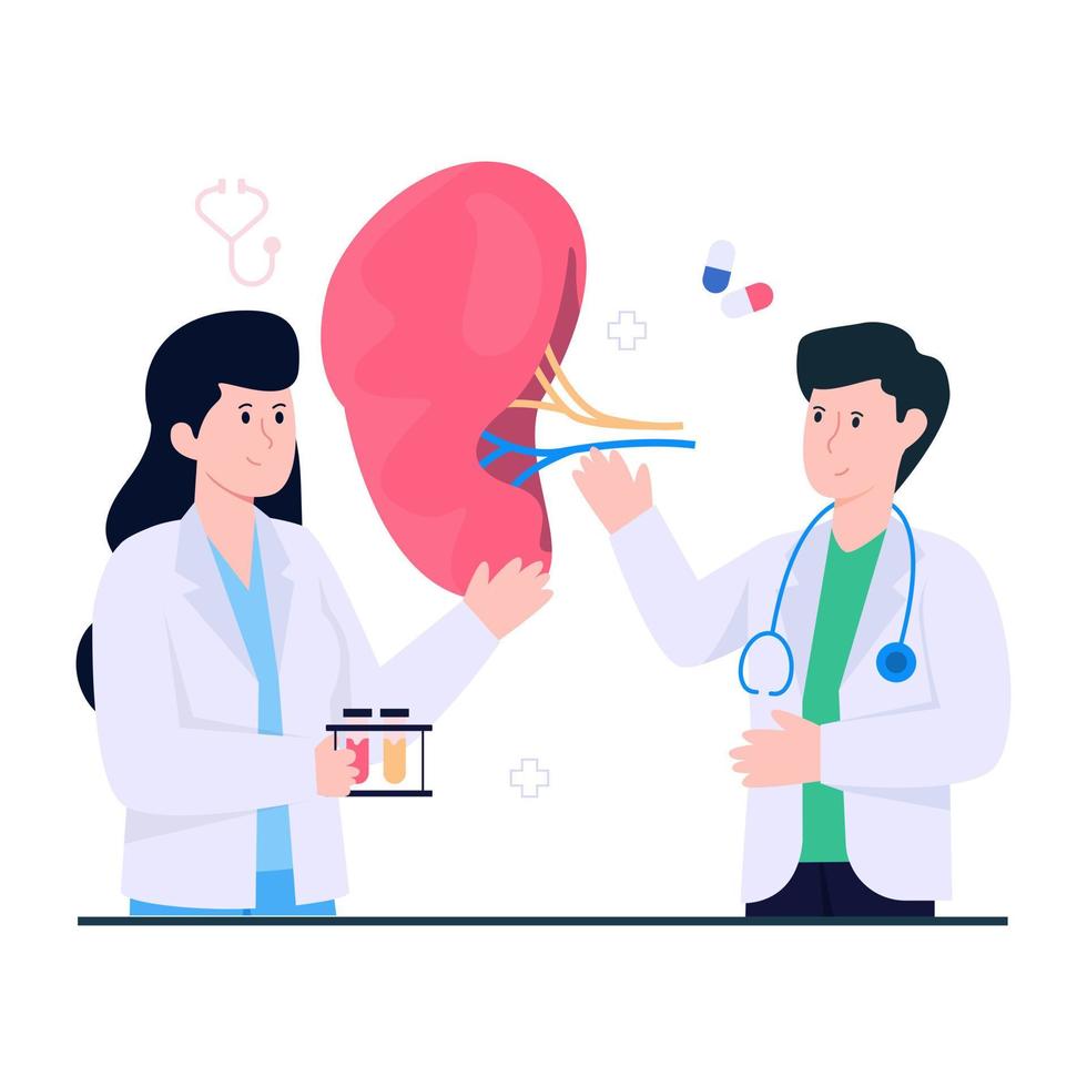 Trendy vector design of nephrologist