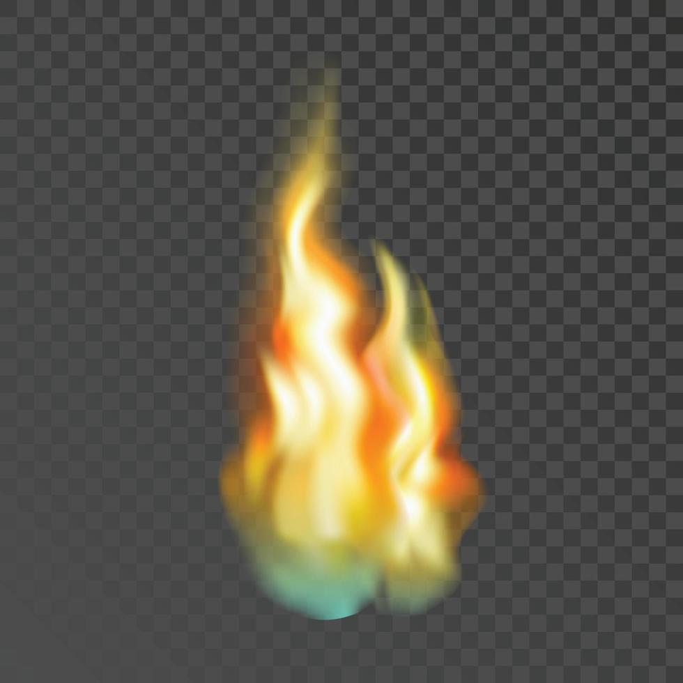 Fire Burning Flammable Dangerous Bonfire Vector