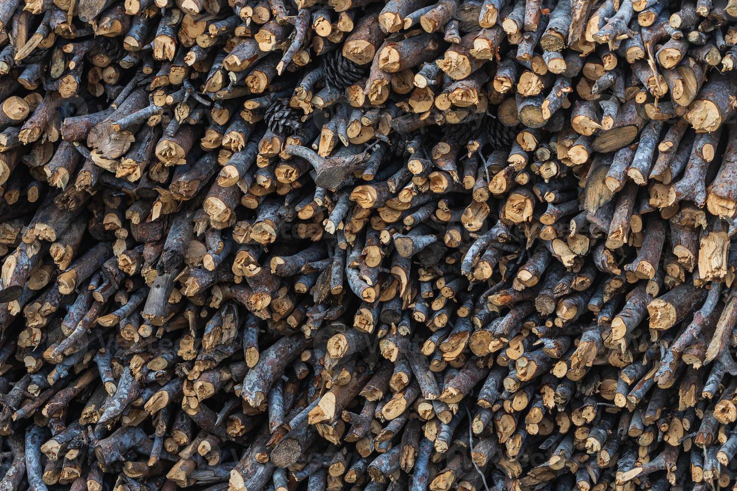 close-up sawn tree into small pieces. Background from sawn pieces of wood. Cuts of trees collected into a texture. photo