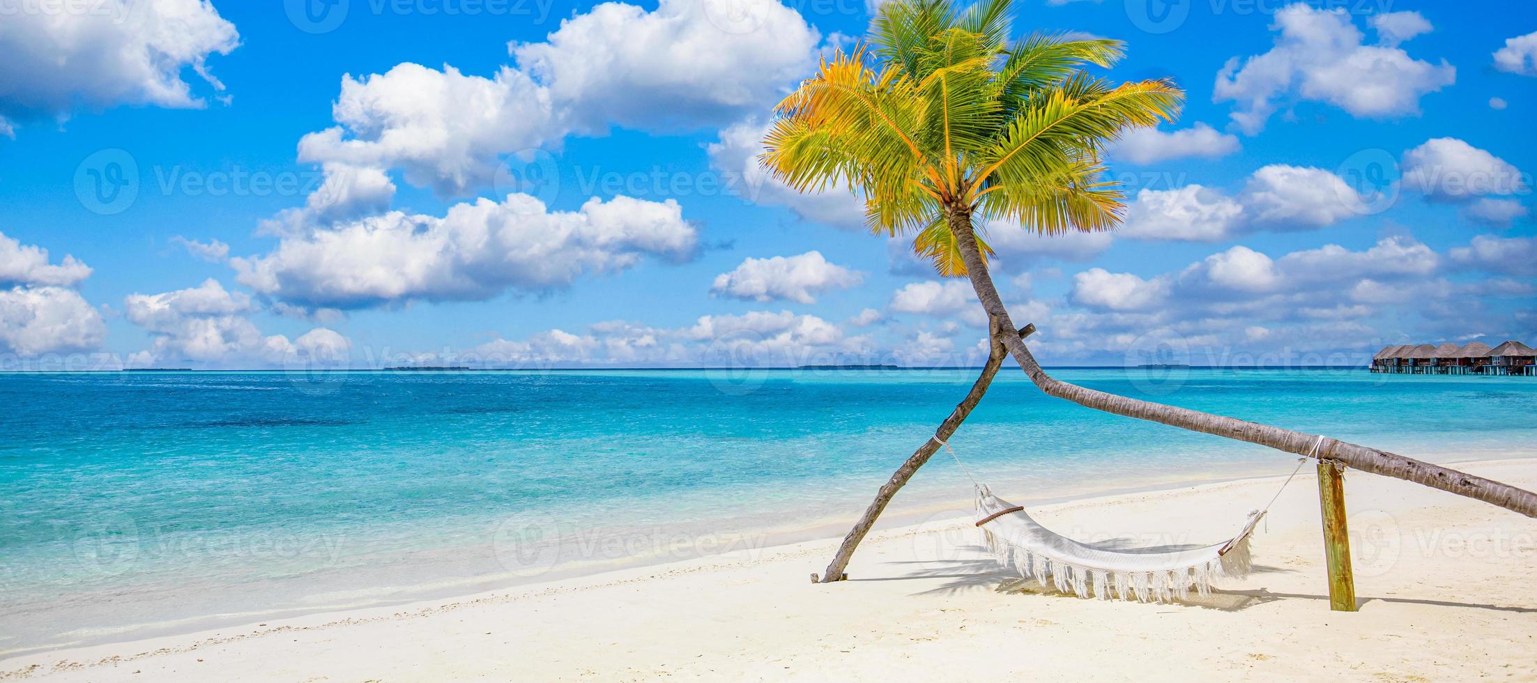 Tropical beach panorama as summer landscape with beach swing or hammock on palm tree white sand calm sea for beach banner. Perfect beach scene vacation and summer holiday concept photo