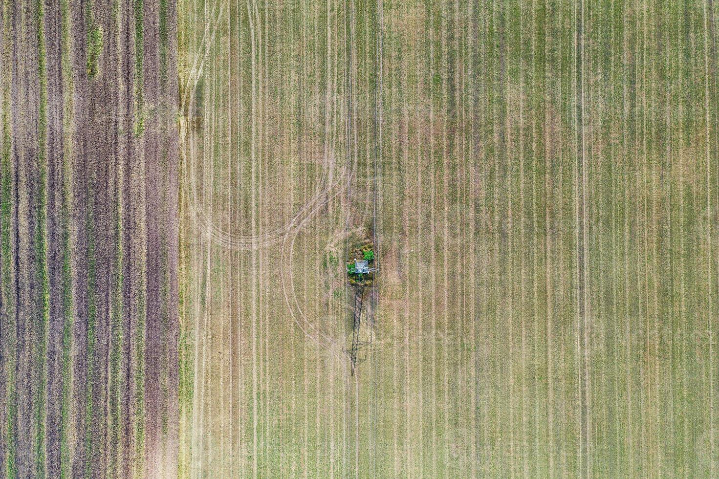 Aerial top view photo from flying drone of a land with sown green fields in countryside in spring day. Land with grown plants