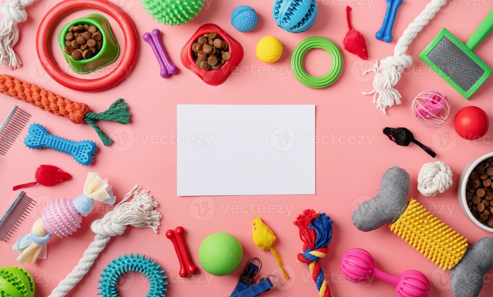 Pet care concept, various pet accessories and tools on pink background with blank paper, flat lay photo